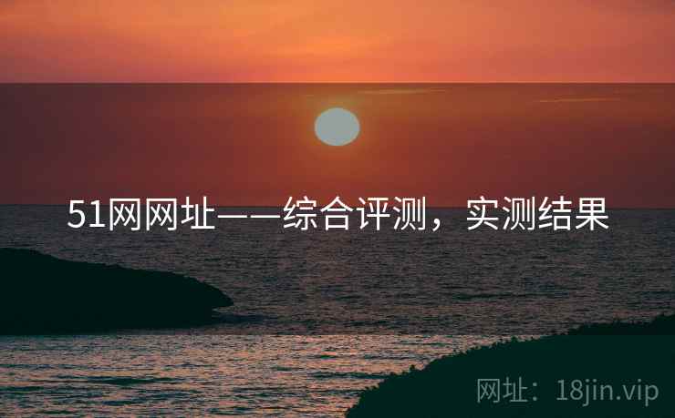 51网网址——综合评测，实测结果