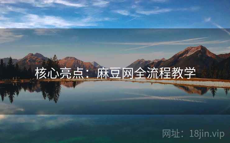 核心亮点：麻豆网全流程教学