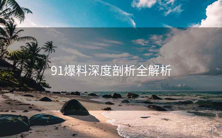 91爆料深度剖析全解析