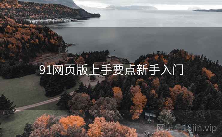 91网页版上手要点新手入门