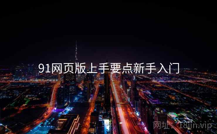 91网页版上手要点新手入门
