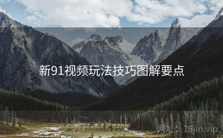 新91视频玩法技巧图解要点